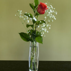 Vase - Beata Bud